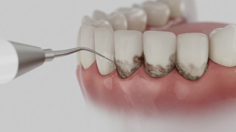 Reliable Dental contractor in St. Johns, AZ by Dentist Open Now